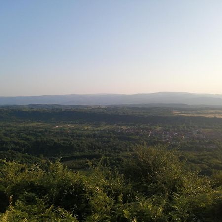 Borlova /Muntele Mic Hotel Buitenkant foto