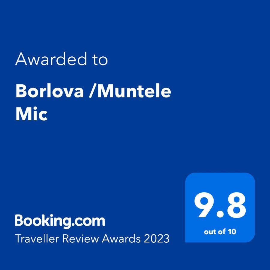 Borlova /Muntele Mic Hotel Buitenkant foto