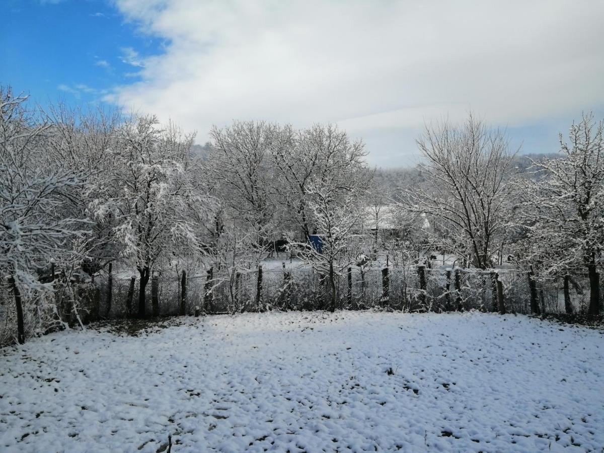 Borlova /Muntele Mic Hotel Buitenkant foto